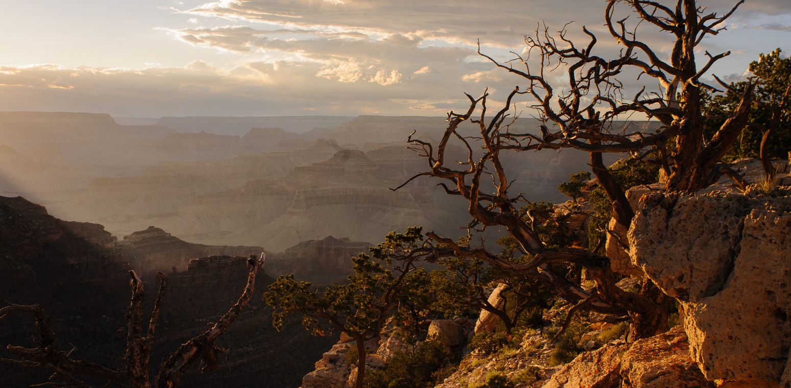 Grand Canyon from the Rim Trail, Arizona, USA